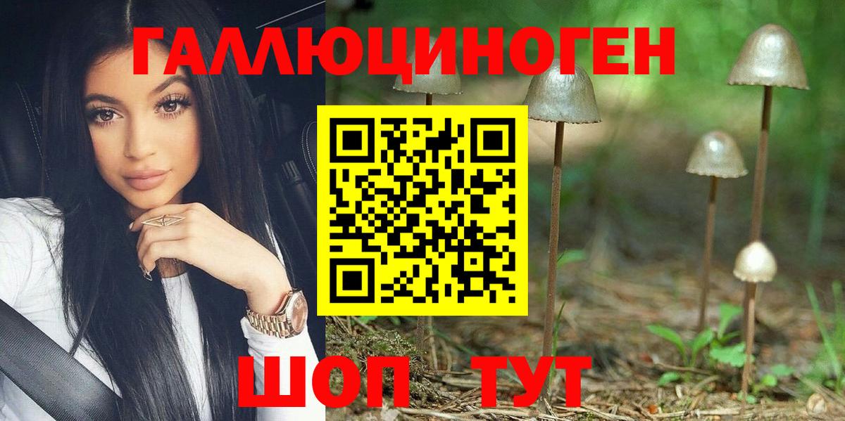 Бор  Галлюциногенные грибы ЛСД  Псилоцибиновые грибы мухоморы  купить   Вход с VPN 