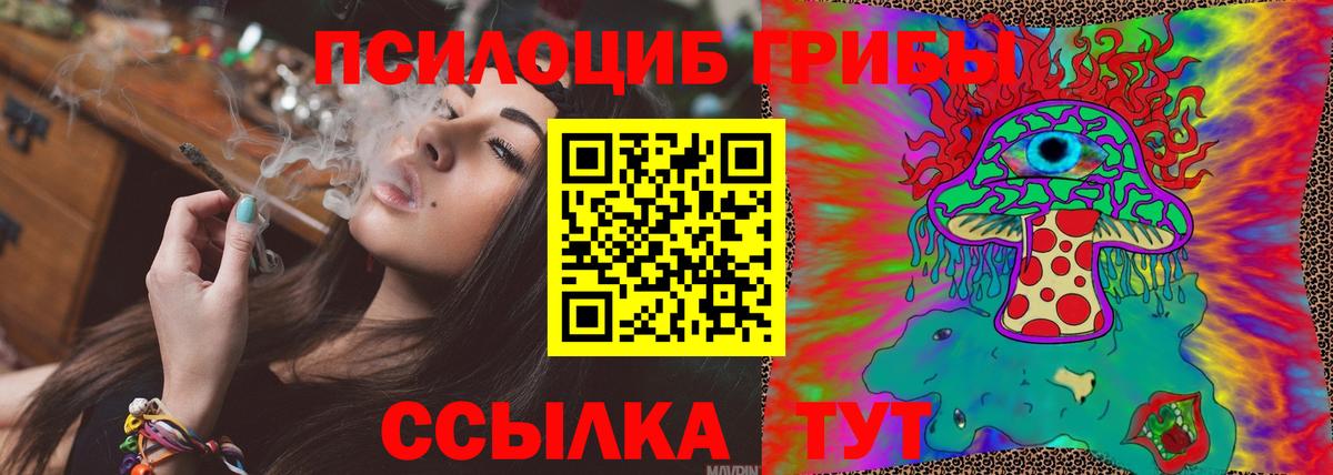 Псилоцибиновые грибы прущие грибы Бор