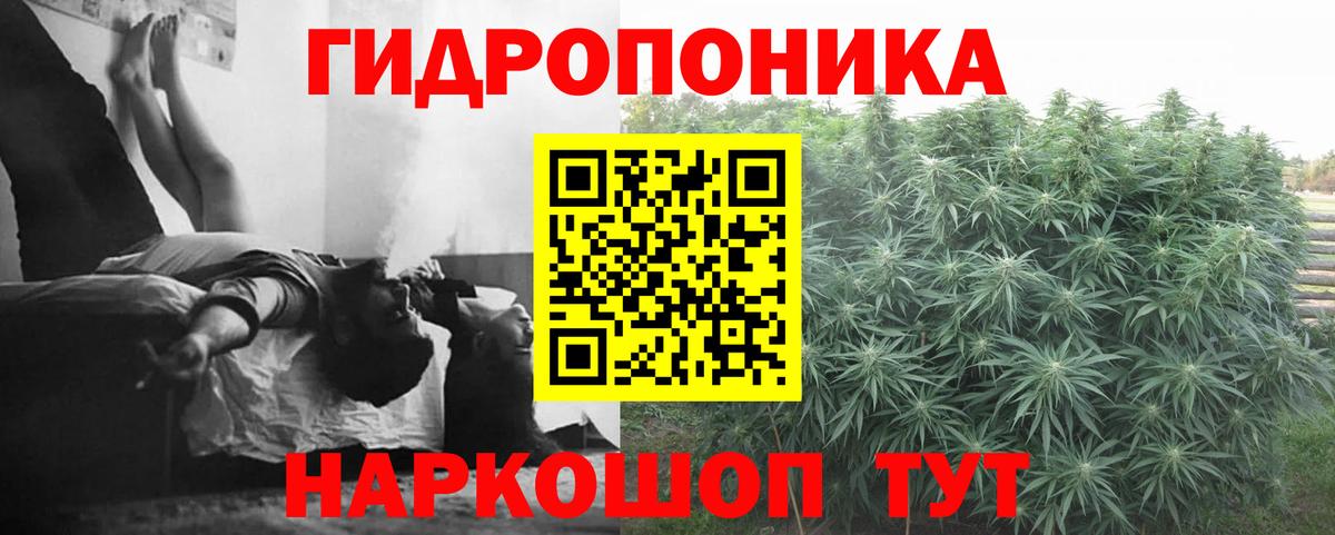 Марихуана White Widow  Каннабис семена  Марихуана планчик  Вход с VPN  Конопля ГИДРОПОН  Бор 